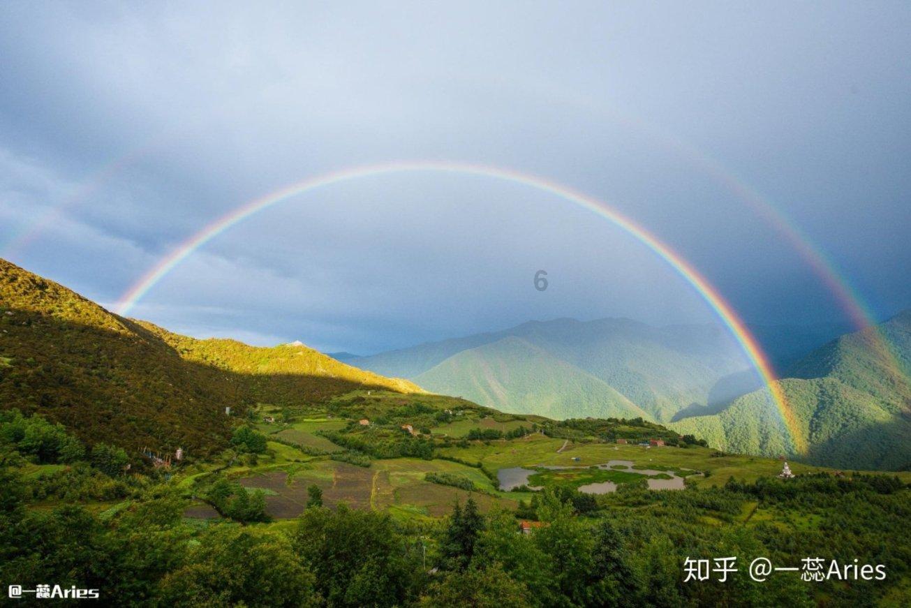 逃出蜜蜂岛