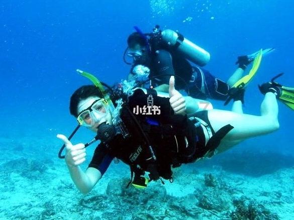 孤独的流浪者救援