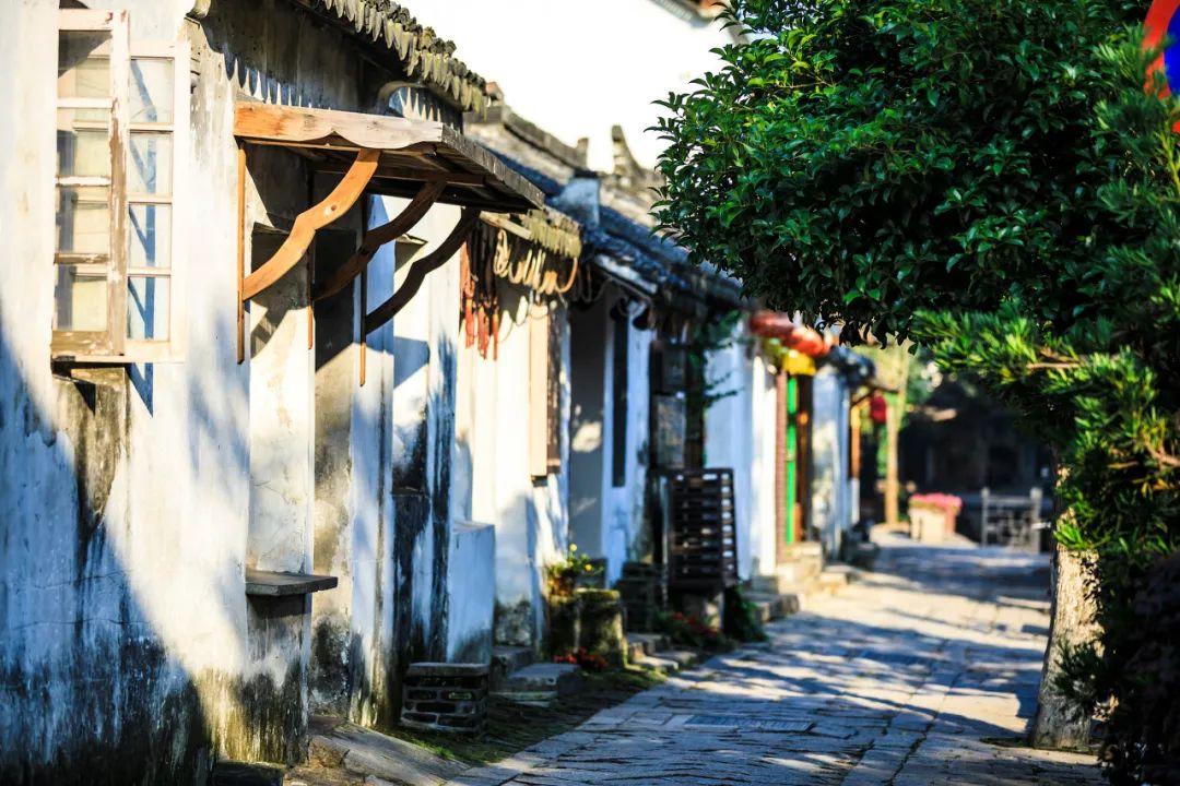 鲜奶运输车找不同